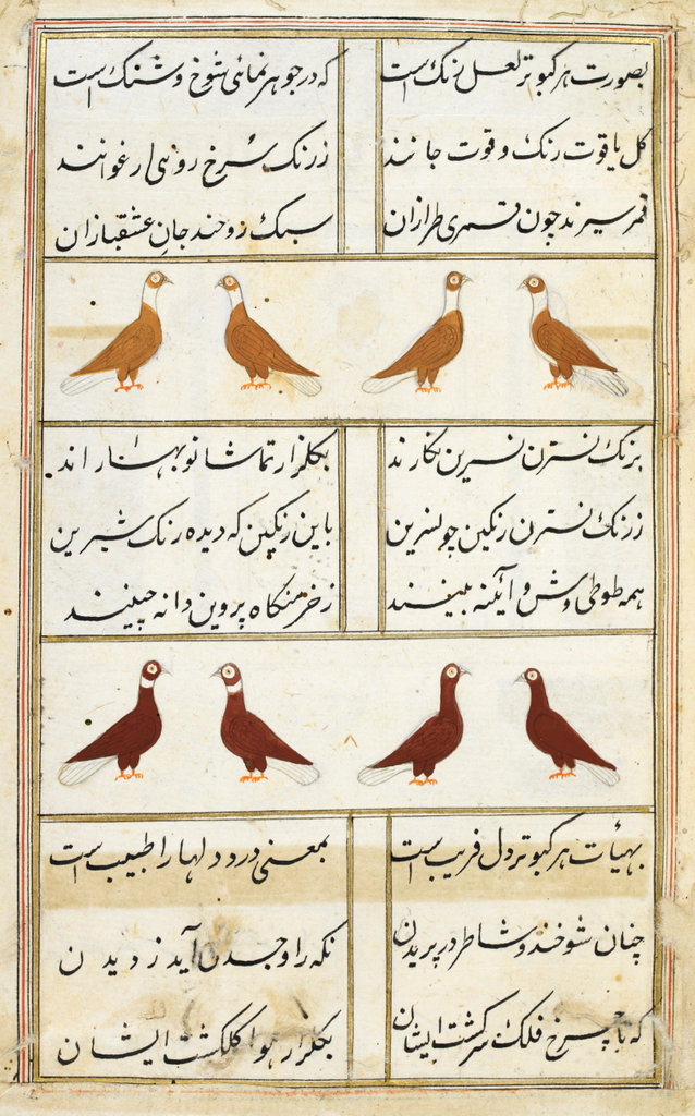 Kabutar-nama.
