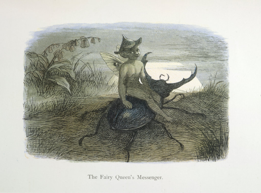 In Fairy Land A series of pictures from the elf-world by Richard Doyle With a poem by W Allingham
